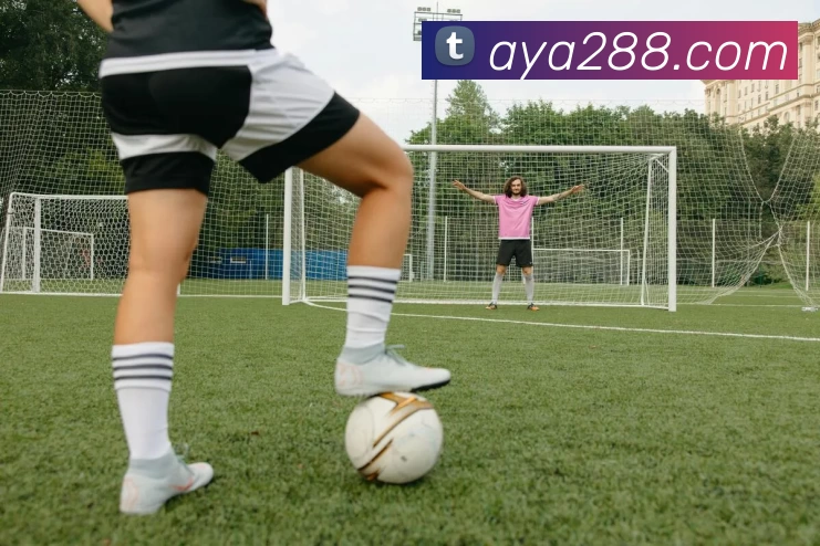 App Interface Preview